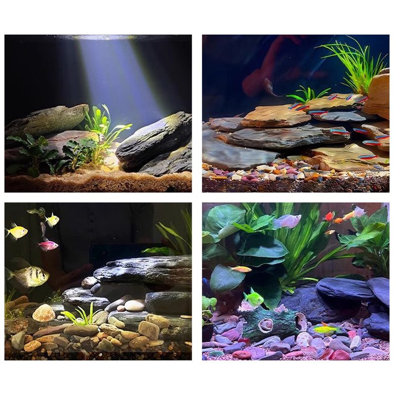 500/1000g Fish Tank Landscape  - Marine Aquarium Tanks review and price