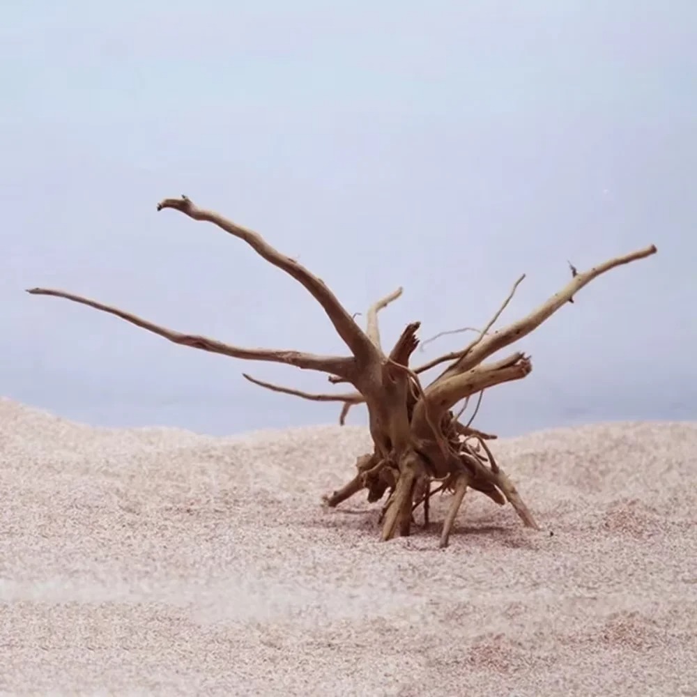 15-20CM Natural Driftwood Aqua - Marine Aquarium Tanks review and price
