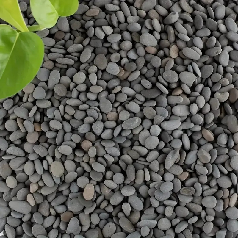 20Pcs Natural River Rocks Smoo - Marine Aquarium Tanks review and price