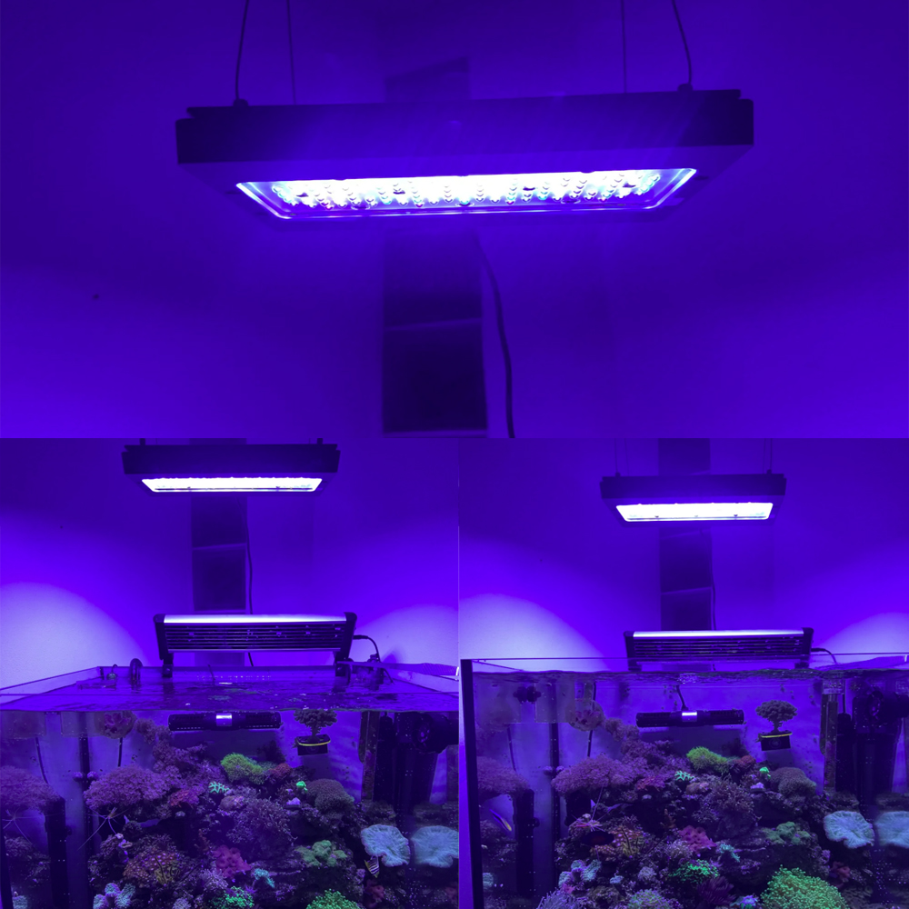 A8se Pro III MAX Blue 240W Mar - Aquarium Blue Marine Reef review and price