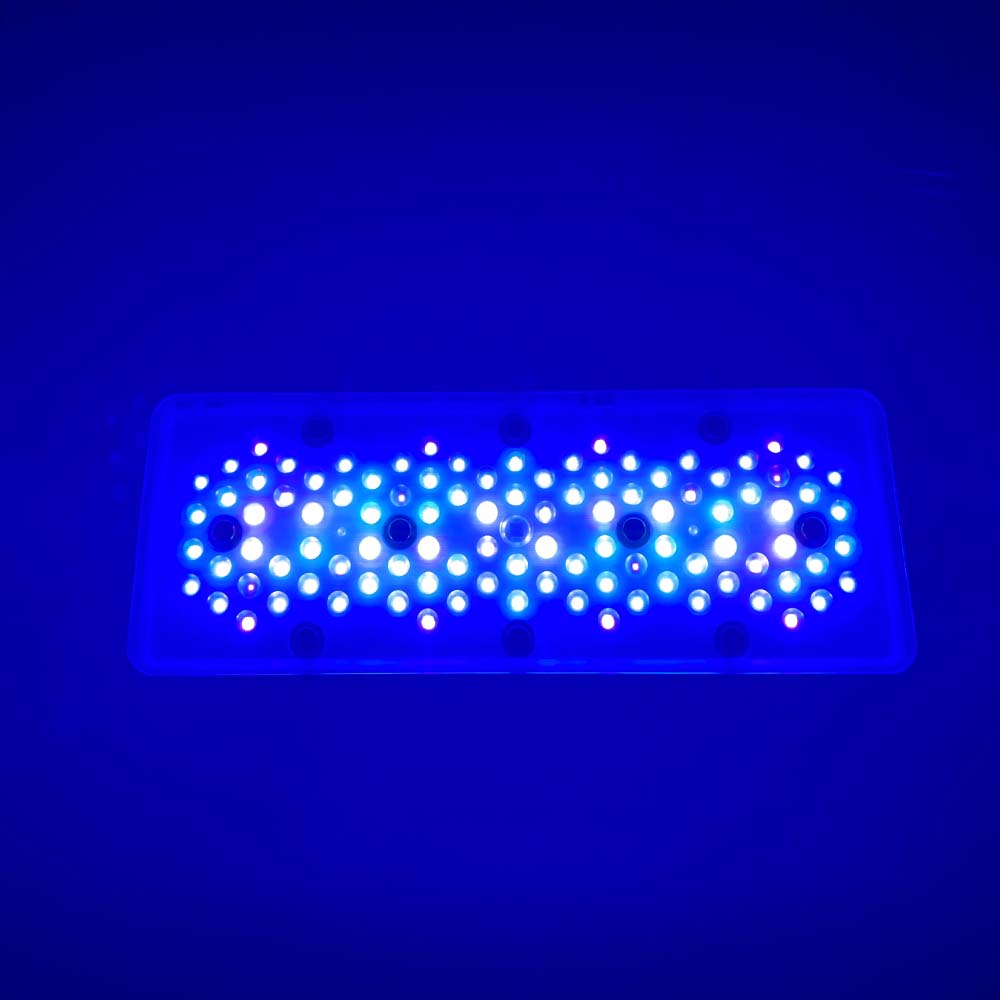 A8se A8PRO III BLUE 240W Marin - Aquarium Blue Marine Reef review and price