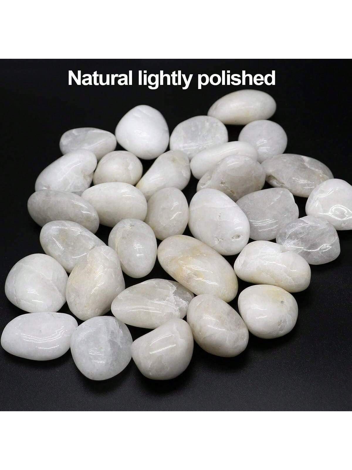 River Rocks Decorative Ornamen - Marine Aquarium Tanks review and price