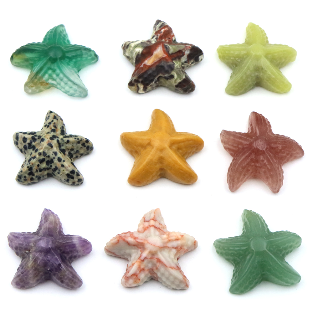 35mm Starfish Shape Statue Mar - Marine Aquarium & Regional Centre Photos review and price