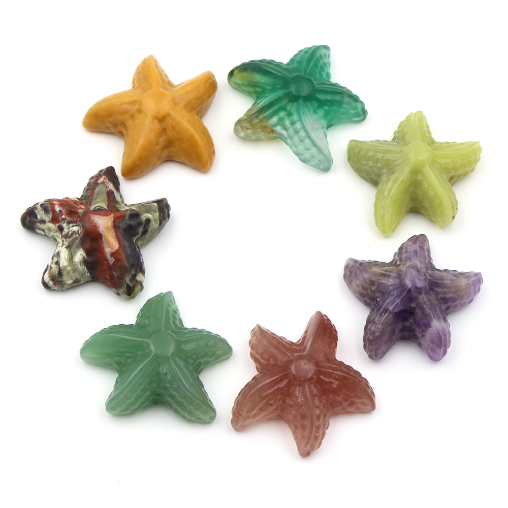 35mm Starfish Shape Statue Mar - Marine Aquarium & Regional Centre Photos review and price