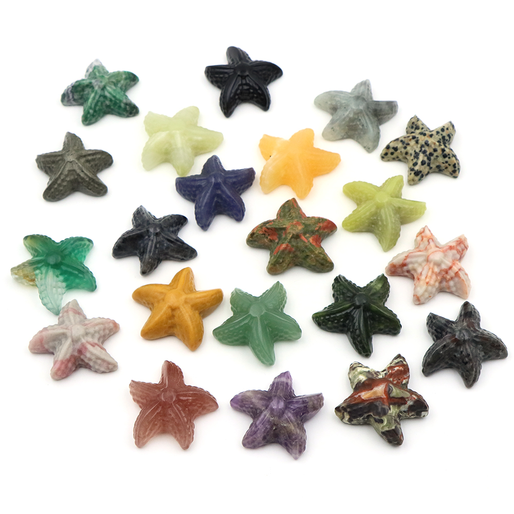 35mm Starfish Shape Statue Mar - Marine Aquarium & Regional Centre Photos review and price