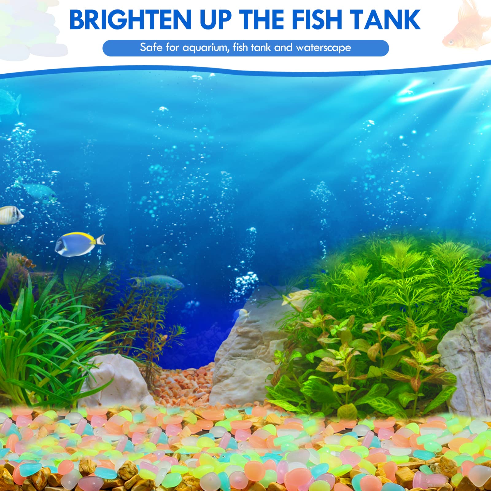 100Pcs Glow in the Dark Garden - Marine Aquarium Tanks review and price