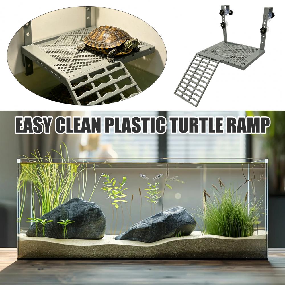 Aquarium Decoration Solid Form - Marine Aquarium Tanks review and price