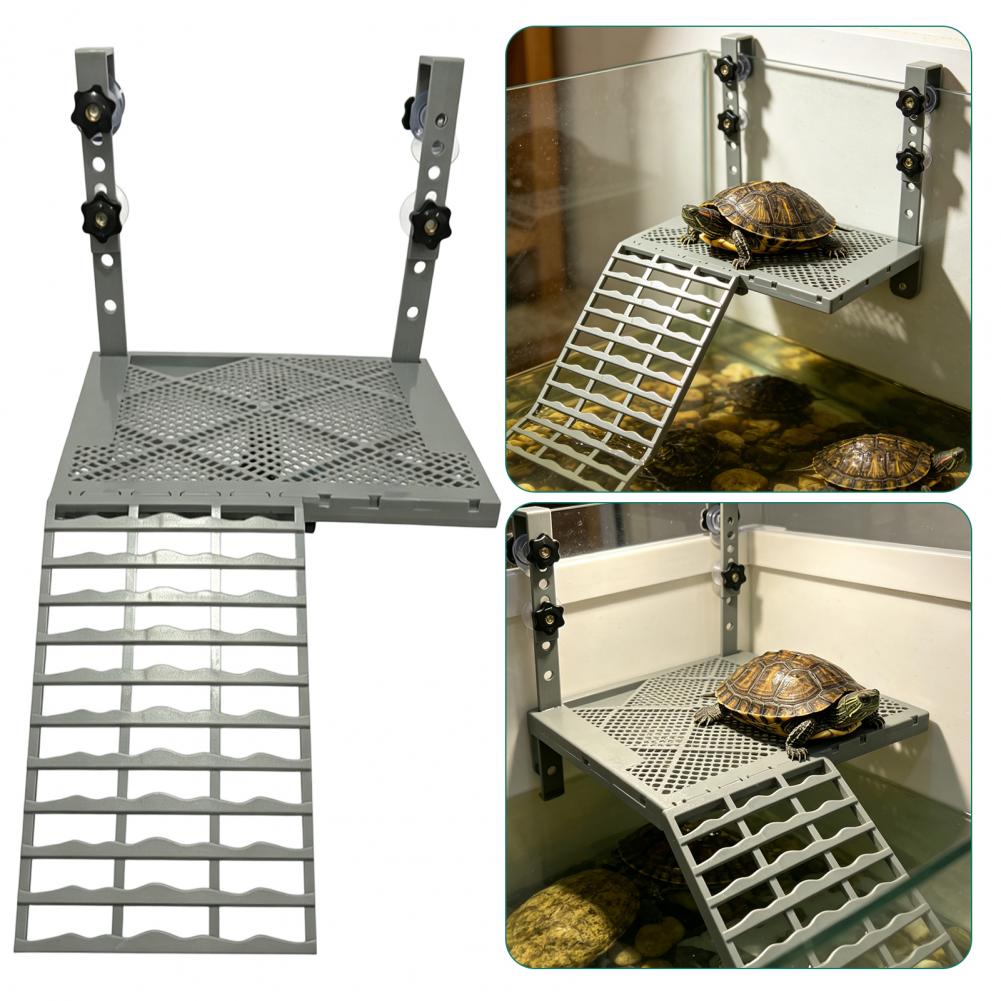 Aquarium Decoration Solid Form - Marine Aquarium Tanks review and price