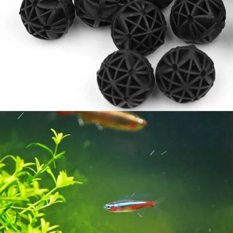 20Pcs 16mm Aquarium Filter Bio - Marine Aquarium & Regional Centre Photos review and price