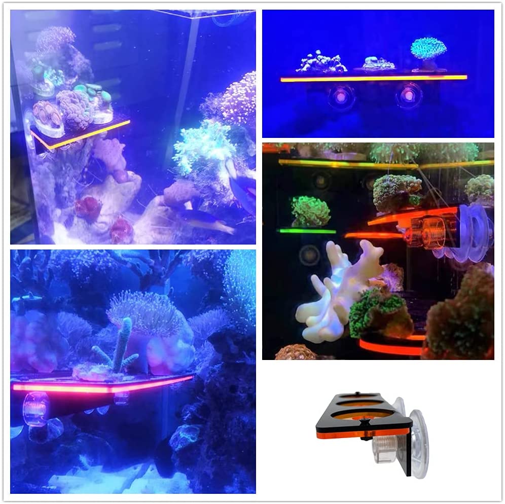 Fluorescent Coral Frag Plug Br - Marine Aquarium Design review and price