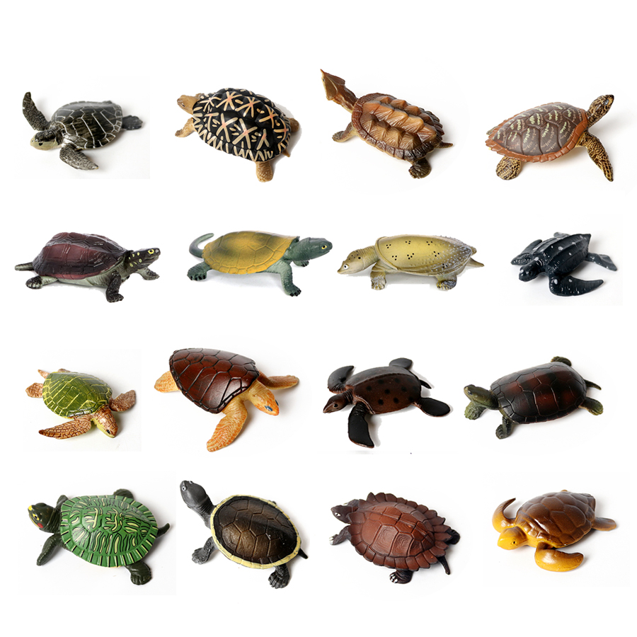 Realistic Miniatures Marine Li - Marine Aquarium & Regional Centre Photos review and price