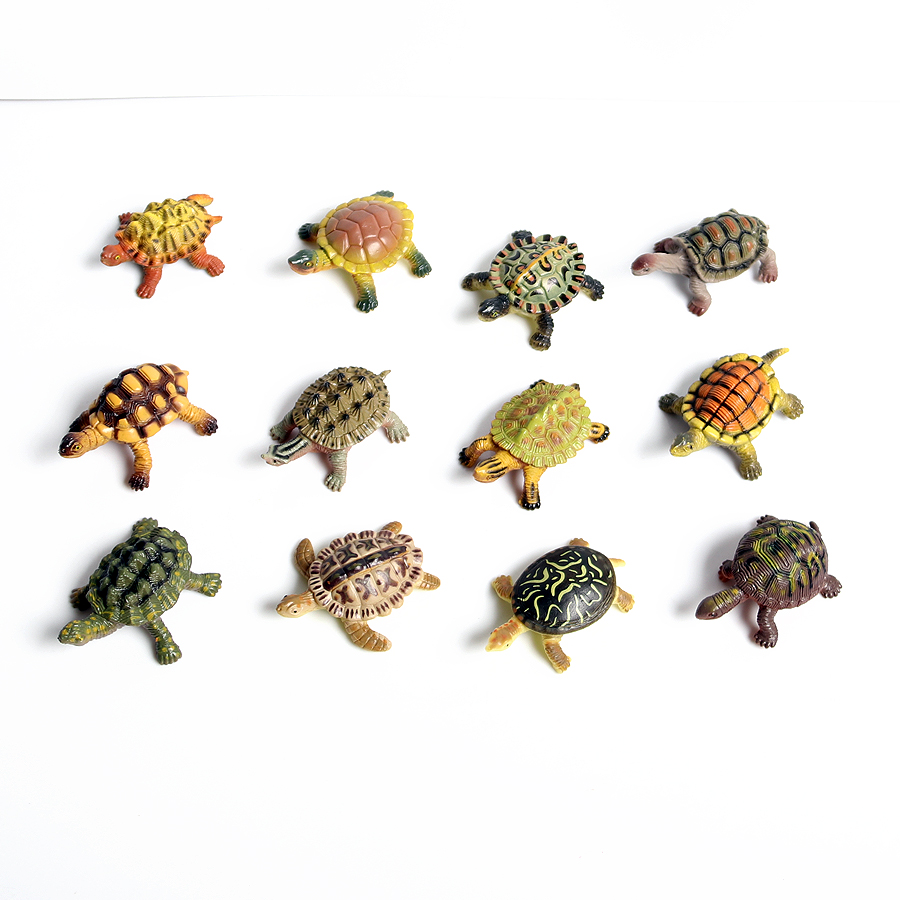 Realistic Miniatures Marine Li - Marine Aquarium & Regional Centre Photos review and price
